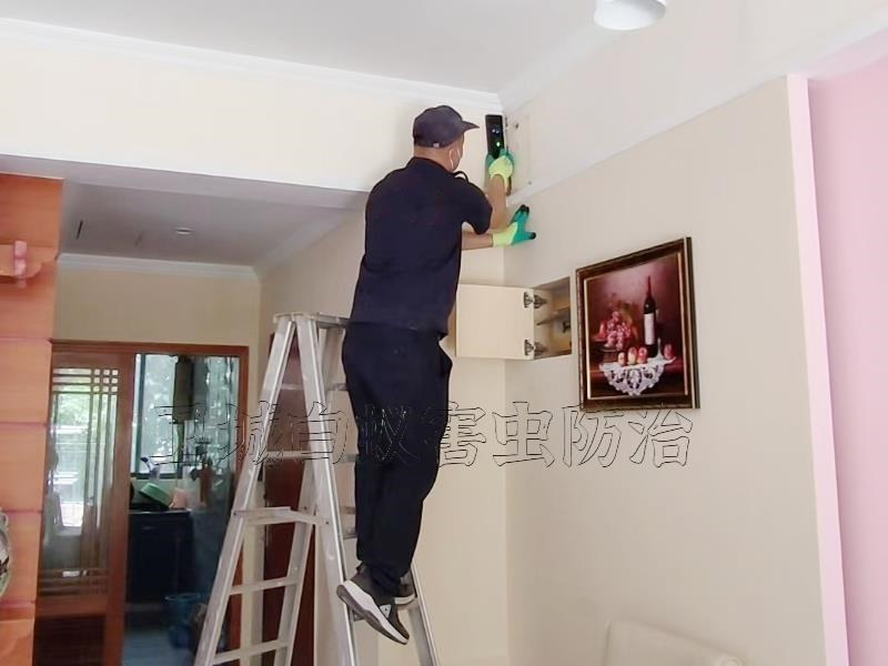 白蟻類型生殖類型包括長翅繁殖蟻-惠城區汝湖白蟻防治中心,汝湖白蟻防治